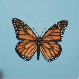 Meet your Posher, Allison